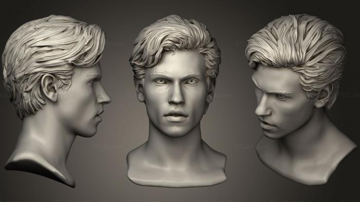 Анатомия скелеты и черепа (Мужская голова с волосами, ANTM_0856) 3D модель для ЧПУ станка